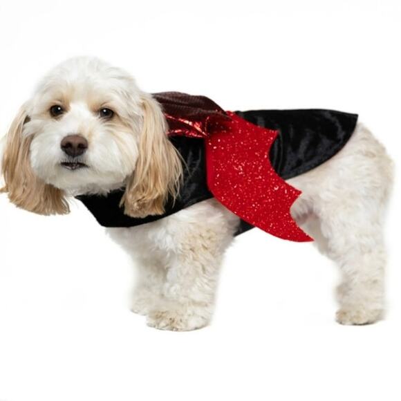 Vibrant Life Other - Vibrant Life Halloween Dog Costume and Cat Costume: Vampire, Size Small